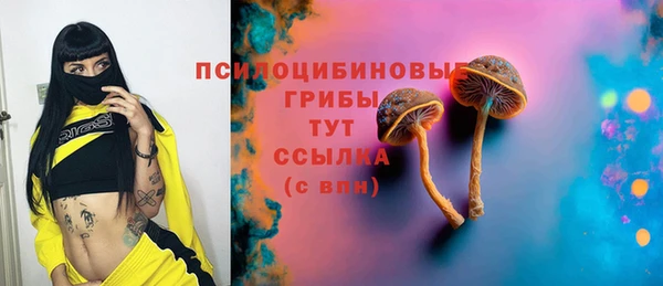 ГАЛЛЮЦИНОГЕННЫЕ ГРИБЫ Алзамай