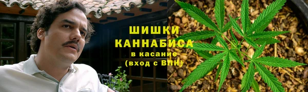метадон Алексин